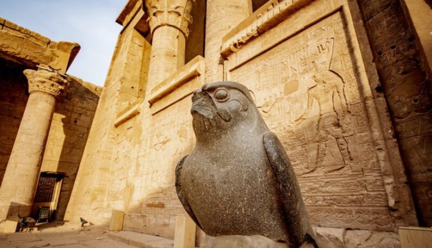 Exclusively to the operation of receptive tourism in Egypt