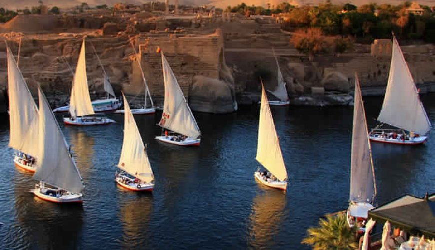 Exclusively to the operation of receptive tourism in Egypt